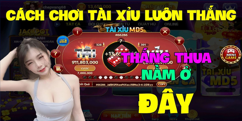 Tài xỉu và hướng dẫn cách chơi tài xỉu md5 H3bet