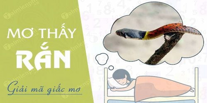 Biểu tượng trong giấc mơ sẽ thể hiện những vấn đề bạn đang đối