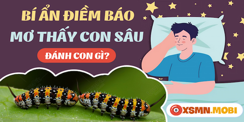 Ngủ mơ thấy con sâu róm là điềm báo gì?