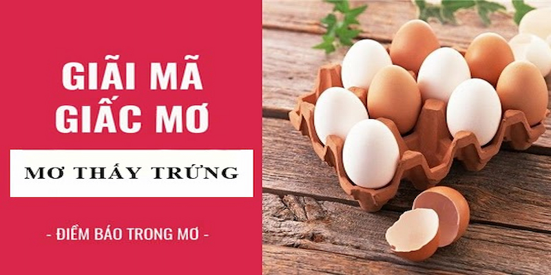 Giấc mơ thấy quả trứng gà sắp nở thành con là điềm báo vô cùng tốt lành