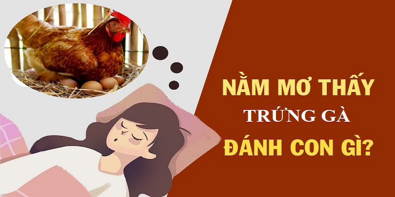 Giấc mơ thấy trứng gà sắp nở báo hiệu thời gian sắp tới khá tốt