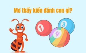 Nằm Mơ Thấy Kiến đánh đề số mấy tại H3BET?