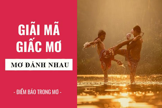 H3BET - Giải Mã Giấc Mơ Thấy Đánh Nhau Và Ý Nghĩa 
